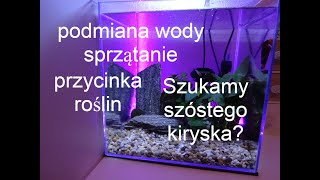 Prace porządkowe w moim akwarium