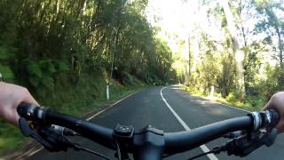 Fast MTB downhill on road from One tree hill to Upper Ferntree Gully