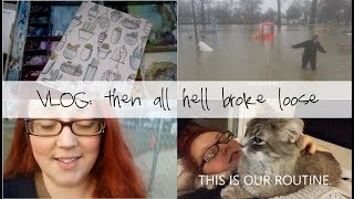 AND THEN ALL HELL BROKE LOOSE... #30DayBookBinge Vlog 4.2