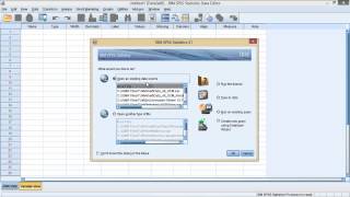 Opening Files in  SPSS