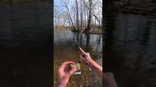 My FAVORITE Thing in the World to DO! (fish)