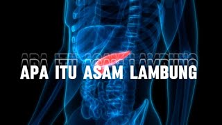 APA ITU ASAM LAMBUNG