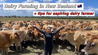 Dairy Farming in New Zealand 🇳🇿