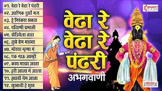 Top 12 अभंगवाणी - वेढा रे वेढा रे पंढरी | Vedha Re Vedha Re Pandhari | Vitthal Abhang- Vitthal Songs