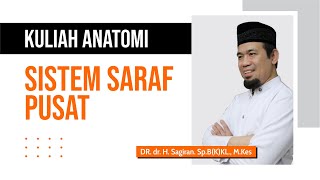 Kuliah Anatomi Saraf Pusat