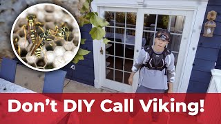 DIY Wasp Control?  Skip the Sting with Viking Pest Control!