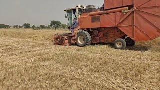 Gandam  ki katai harvester