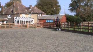 Interdressage Sept 2013