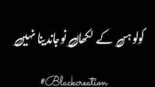 _New_Punjabi__Urdu_Lyrics_Black_Background_Status