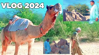 Desert Thar Vlog 2024  Marwadi Vlog Dhatki Thari Vlog My Vlog Today#tharigeet