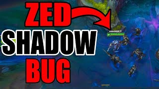 New Zed W Bug 2020