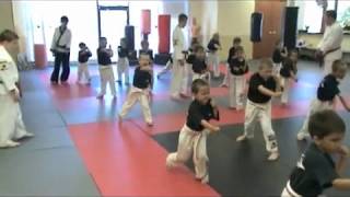 2010 Program Video - Lil' Dragons - Sorce Martial Arts - Milwaukee, WI