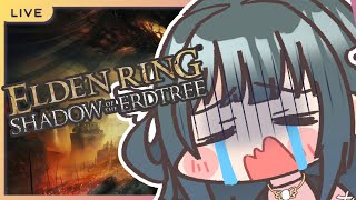 SWEATY GAMING + BREAK STORYTIME【Elden Ring Shadow Of The Erdtree】