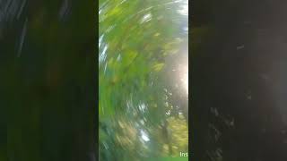 FPV CRASH