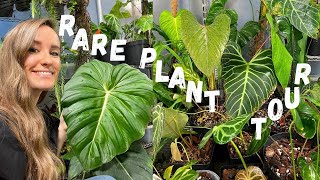 SUPER RARE and UNUSUAL Plant Tour | GrowTropicals Nursey & Greenhouse