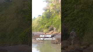 Golono Gess Balik Sajah #shortvideo #mancing #joransutet #fyp #mancingmania