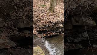 The finger lakes trail #nature #creek #adventure #backpacking #nct #hiking #waterfall #peaceful