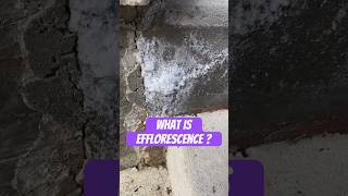 If This Is On Your Foundation…You Got Problems!  #efflorescence