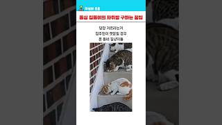 12년차 돌싱 집돌이가 말하는 자취방 구하는 꿀팁