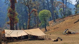 Nepali Himalayan Sheep Shepherd Life | Shepherd  Food Cooking & Eating | Peaceful Shepherd Life |