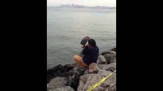 Rock balancing artist