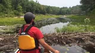 Cherry Lake - Kawartha Highlands Provincial Park