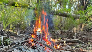 Fire in the swamp with my bushcraft kit #bushcraftcamp #bushcraft #campfire #everglades #bushcrafter