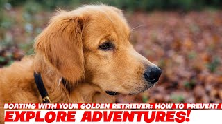 Boating with Your Golden Retriever: How to Prevent Motion Sickness