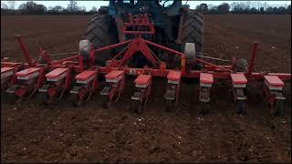 1981.old Ford tractor,  setting  sugarbeet, in Suffolk