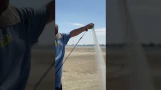 Catching bait! #shorts #shortsfeed #shortsvideo #shortsviral #shortsyoutube #shortsfishing