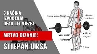 STJEPAN URSA - 3 NAČINA IZVOĐENJA MRTVOG DIZANJA DEADLIFT