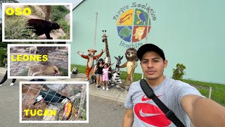 Por primera vez voy a un ZOOLÓGICO del PERÚ! Parque ZOOLÓGICO de HUACHIPA.