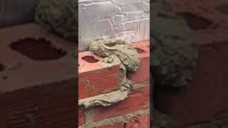 The best brickie on YouTube #poetryinmotion #bricklayer #construction