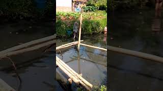 detik detik nangkap ikan di Empang #shortsyoutube #shorts