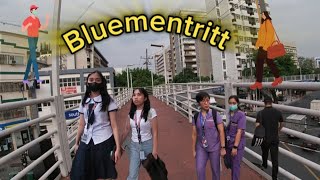 Rediscovering Bluementritt: Exploring the Heart of the City