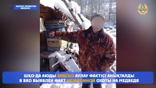 🔹️Житель Восточного Казахстана убил и съел медведя