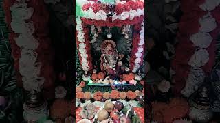 Home Ganapati puja #song #music #shreeyatamanna