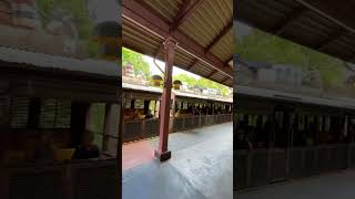 TRAIN STATION-DISNEY’S ANIMAL KINGDOM THEME PARK-2023