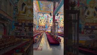 Monastery Golden temple 🪷 coorg #karnataka #Buddhist monks #shortvideo #trendingshorts