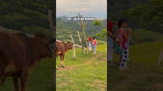 BUHAY SA PROBINSYA #travel #shorts #shortsfeed #shortsvideo