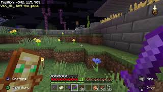 Minecraft survival 3