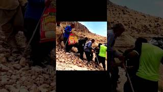 Shepherd rescue operation in the mountains  #iran #shorts #nomadic