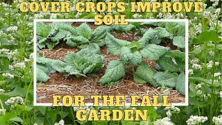 Cover Crop Success -  And -  Working with the fall garden