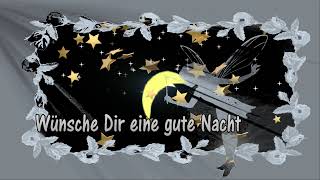 🌜⭐Gute Nacht🌟