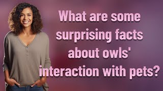 What are some surprising facts about owls' interaction with pets?