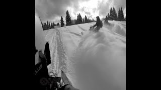 Sleds in Minturn, Colorado - Day 8 | No Case of the Mondays | 1x1