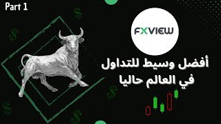 FXVIEW : مراجعة شاملة لأفضل منصة ممكن تبدأ فيها التداول كشخص مبتدئ