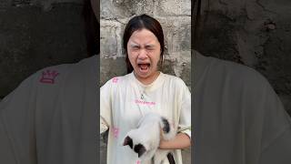 Don't steal her cat 😿😱🥷🔪 #cat #kitten #catvideos #pets #shortsviral