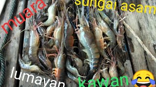 mancing udang galah muara dan spot sungai yang jarang terjamah