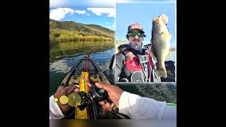 NOW - for Kayak Fishing Giant Bass at Saguaro Lake AZ #Shorts